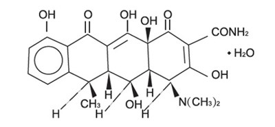 Structural Formula (Structural Formula)